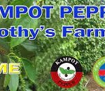 Sothy's Pepper Farm